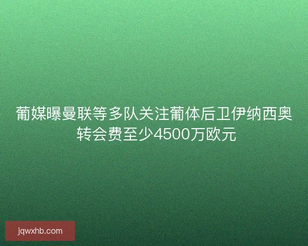 葡媒曝曼联等多队关注葡体后卫伊纳西奥 转会费至少4500万欧元