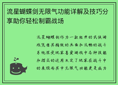 流星蝴蝶剑无限气功能详解及技巧分享助你轻松制霸战场